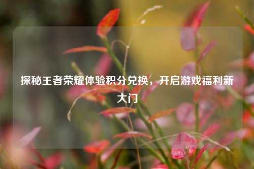 探秘王者荣耀体验积分兑换,开启游戏福利新大门