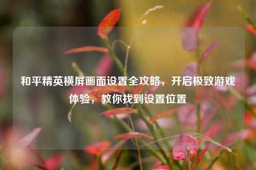 和平精英横屏画面设置全攻略,开启极致游戏体验,教你找到设置位置