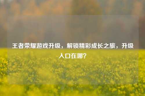 王者荣耀游戏升级,解锁精彩成长之旅,升级入口在哪?