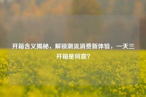 开箱含义揭秘,解锁潮流消费新体验,一天三开箱是何意?