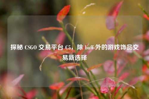 探秘 CSGO 交易平台 C5,除 buff 外的游戏饰品交易新选择