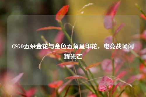 CSGO五朵金花与金色五角星印花,电竞战场闪耀光芒