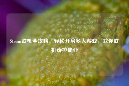 Steam联机全攻略,轻松开启多人游戏,教你联机泰拉瑞亚
