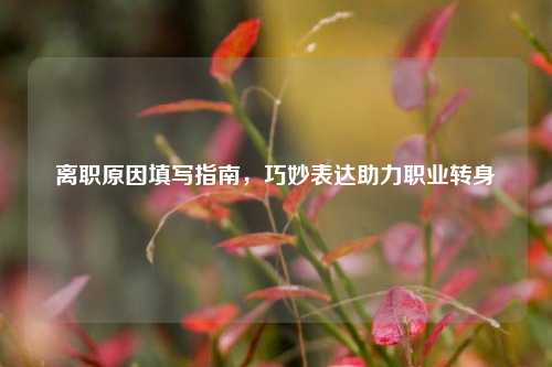 离职原因填写指南,巧妙表达助力职业转身