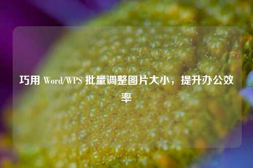巧用 Word/WPS 批量调整图片大小,提升办公效率