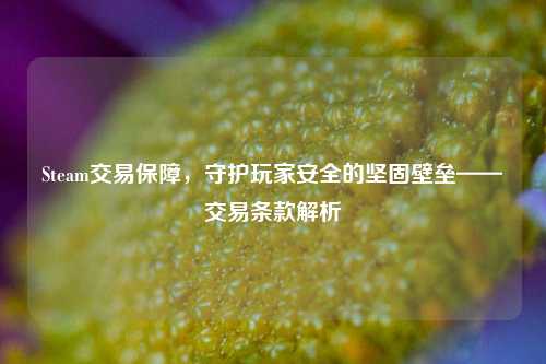 Steam交易保障,守护玩家安全的坚固壁垒——交易条款解析