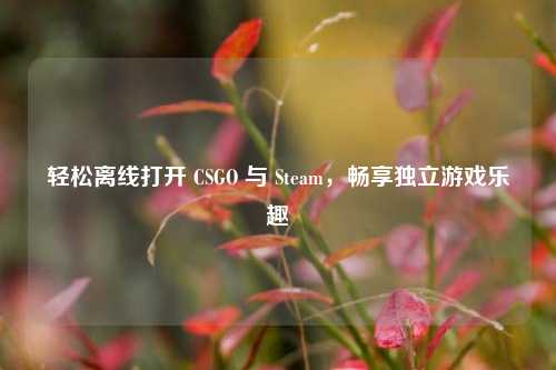 轻松离线打开 CSGO 与 Steam,畅享独立游戏乐趣