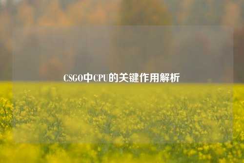 CSGO中CPU的关键作用解析