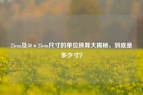 25cm及30×25cm尺寸的单位换算大揭秘,到底是多少寸?