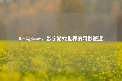 Ron与Steam,数字游戏世界的奇妙邂逅