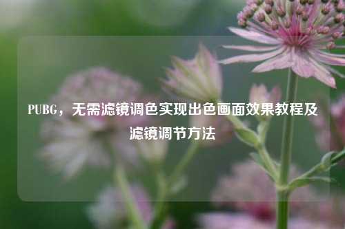 PUBG,无需滤镜调色实现出色画面效果教程及滤镜调节 ***