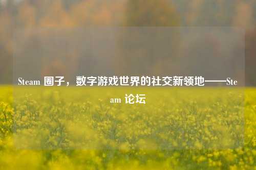 Steam 圈子,数字游戏世界的社交新领地——Steam 论坛