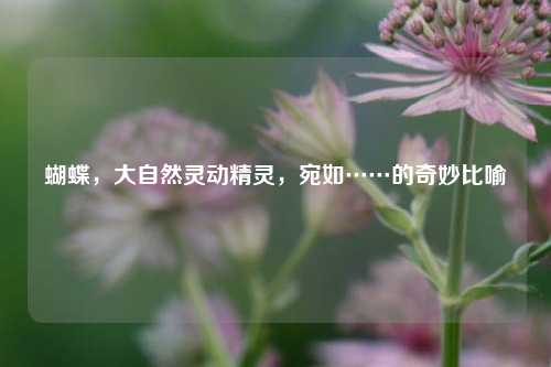 蝴蝶,大自然灵动精灵,宛如……的奇妙比喻