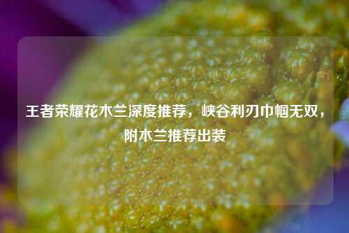 王者荣耀花木兰深度推荐,峡谷利刃巾帼无双,附木兰推荐出装