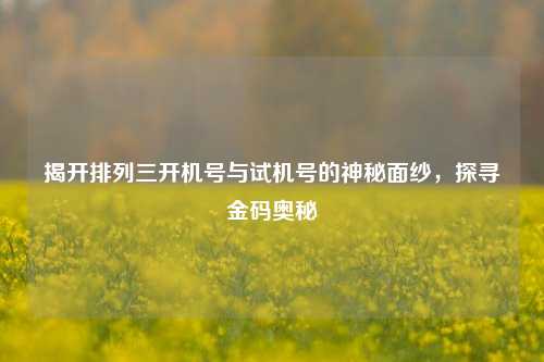 揭开排列三开机号与试机号的神秘面纱,探寻金码奥秘