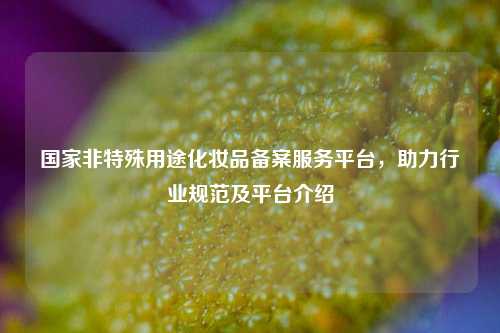 国家非特殊用途化妆品备案服务平台,助力行业规范及平台介绍