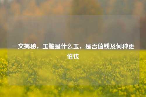 一文揭秘,玉髓是什么玉,是否值钱及何种更值钱