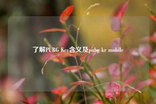 了解PUBG Key含义及pubg kr mobile