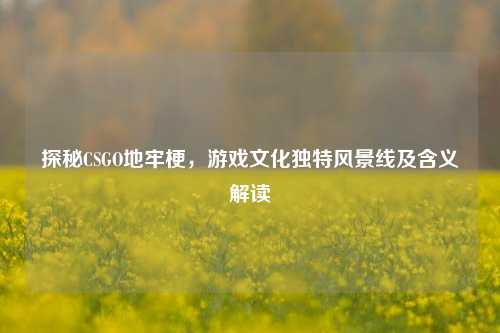 探秘CSGO地牢梗,游戏文化独特风景线及含义解读