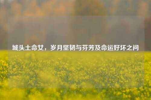 城头土命女,岁月坚韧与芬芳及命运好坏之问