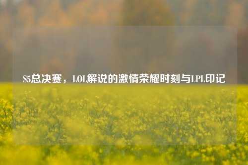 S5总决赛,LOL解说的***荣耀时刻与LPL印记