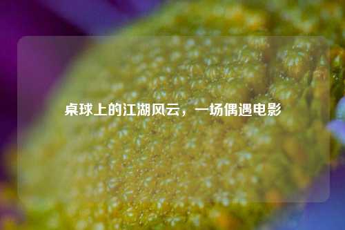 桌球上的江湖风云,一场偶遇电影