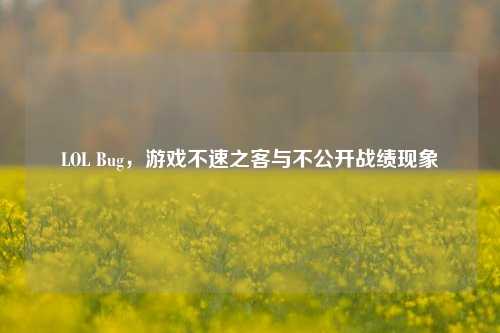 LOL Bug,游戏不速之客与不公开战绩现象