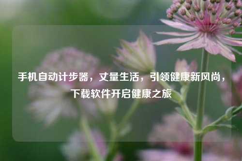 手机自动计步器,丈量生活,引领健康新风尚,下载软件开启健康之旅