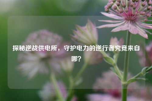 探秘逆战供电所,守护电力的逆行者究竟来自哪?