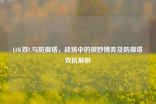 LOL双C与防御塔,战场中的微妙博弈及防御塔双抗解析