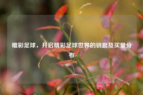 唯彩足球,开启精彩足球世界的钥匙及买量分布
