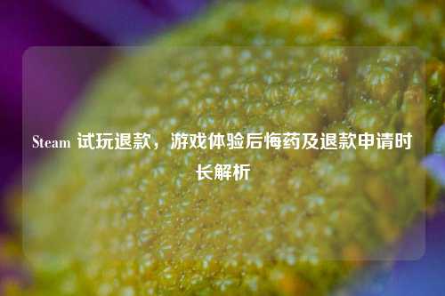 Steam 试玩退款,游戏体验后悔药及退款申请时长解析
