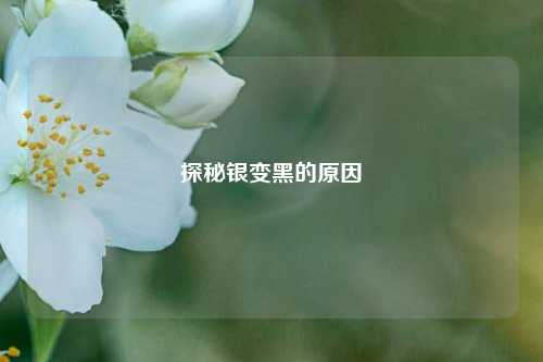 探秘银变黑的原因