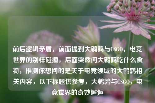 前后逻辑矛盾,前面提到大鹌鹑与CSGO,电竞世界的别样碰撞,后面突然问大鹌鹑吃什么食物,推测你想问的是关于电竞领域的大鹌鹑相关内容,以下标题供参考,大鹌鹑与CSGO,电竞世界的奇妙邂逅