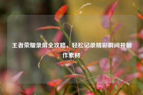 王者荣耀录屏全攻略,轻松记录精彩瞬间并 *** 素材