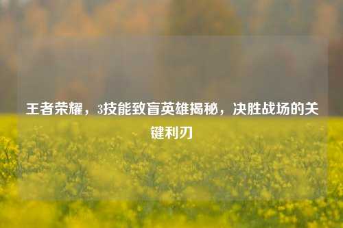 王者荣耀,3技能致盲英雄揭秘,决胜战场的关键利刃