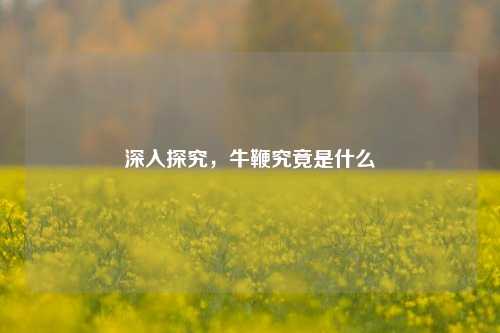 深入探究,牛鞭究竟是什么