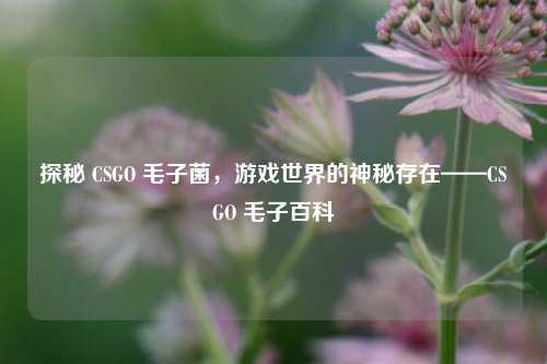 探秘 CSGO 毛子菌,游戏世界的神秘存在——CSGO 毛子百科