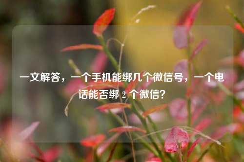 一文解答,一个手机能绑几个微信号,一个 *** 能否绑 2 个微信?