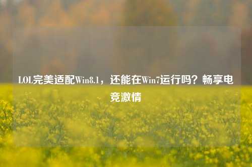 LOL完美适配Win8.1,还能在Win7运行吗?畅享电竞***