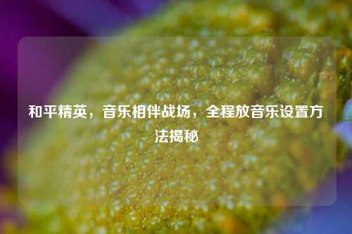 和平精英,音乐相伴战场,全程放音乐设置 *** 揭秘