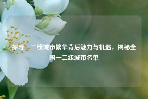探寻一二线城市繁华背后魅力与机遇,揭秘全国一二线城市名单