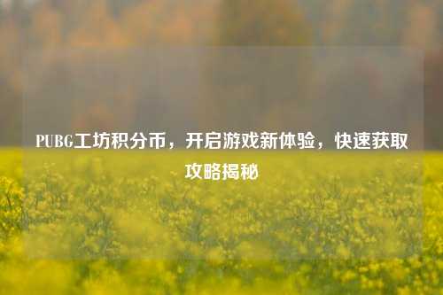 PUBG工坊积分币,开启游戏新体验,快速获取攻略揭秘