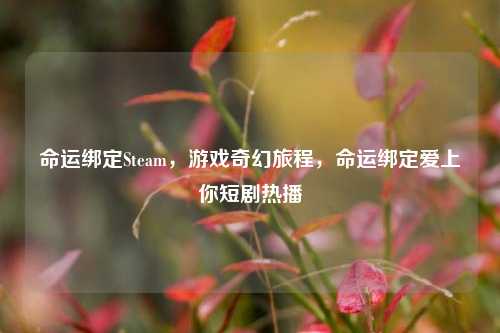 命运绑定Steam,游戏奇幻旅程,命运绑定爱上你短剧热播