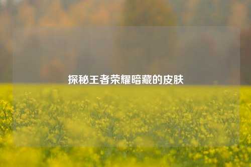 探秘王者荣耀暗藏的皮肤