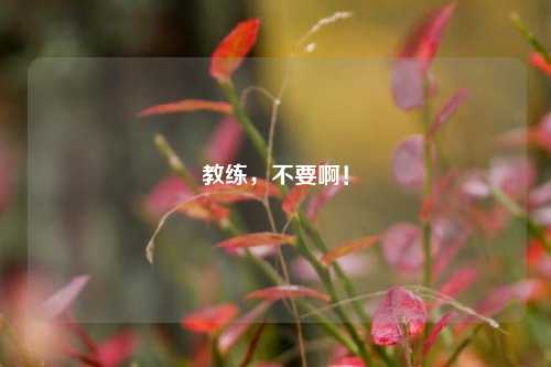 教练,不要啊!