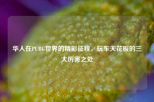 华人在PUBG世界的精彩征程,玩车天花板的三大厉害之处