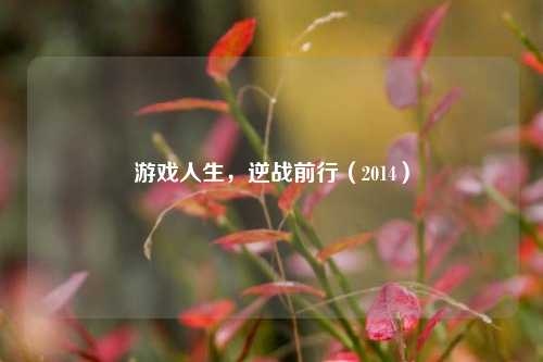 游戏人生,逆战前行(2014)