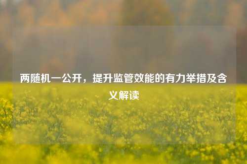 两随机一公开,提升监管效能的有力举措及含义解读
