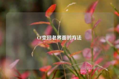 CF变回老界面的 ***